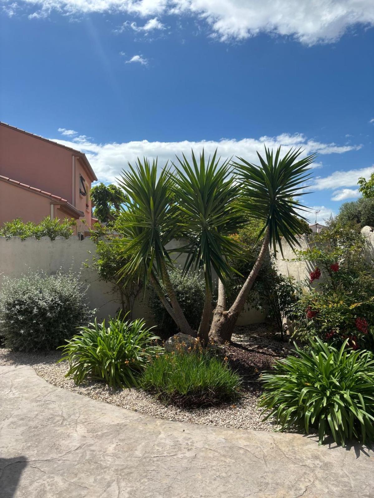 La Maison Brennus , Piscine, 15 Min Des Plages Béziers Exteriér fotografie